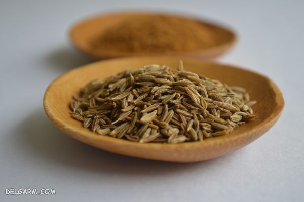 فرق زیره و رازیانه