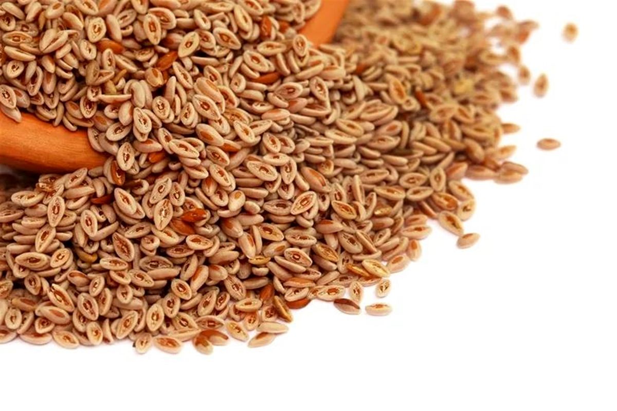 خواص بارهنگ در طب سنتی (2 نکته مهم)