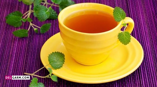 دمنوش بادرنجبویه برای رفع تب