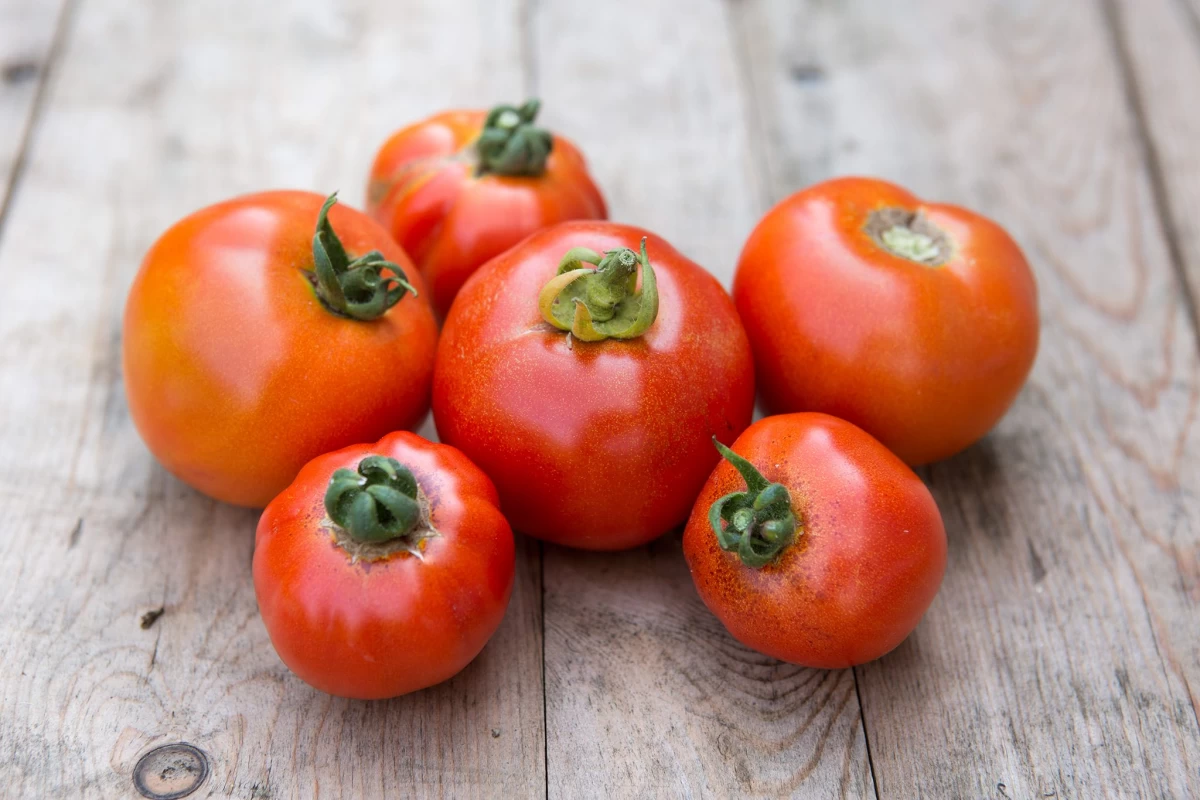 خواص اثبات شده گوجه فرنگی برای پیشگیری و درمان کبد چرب (2 نکته مهم) خواص اثبات شده گوجه فرنگی برای پیشگیری و درمان کبد چرب (2 نکته مهم)