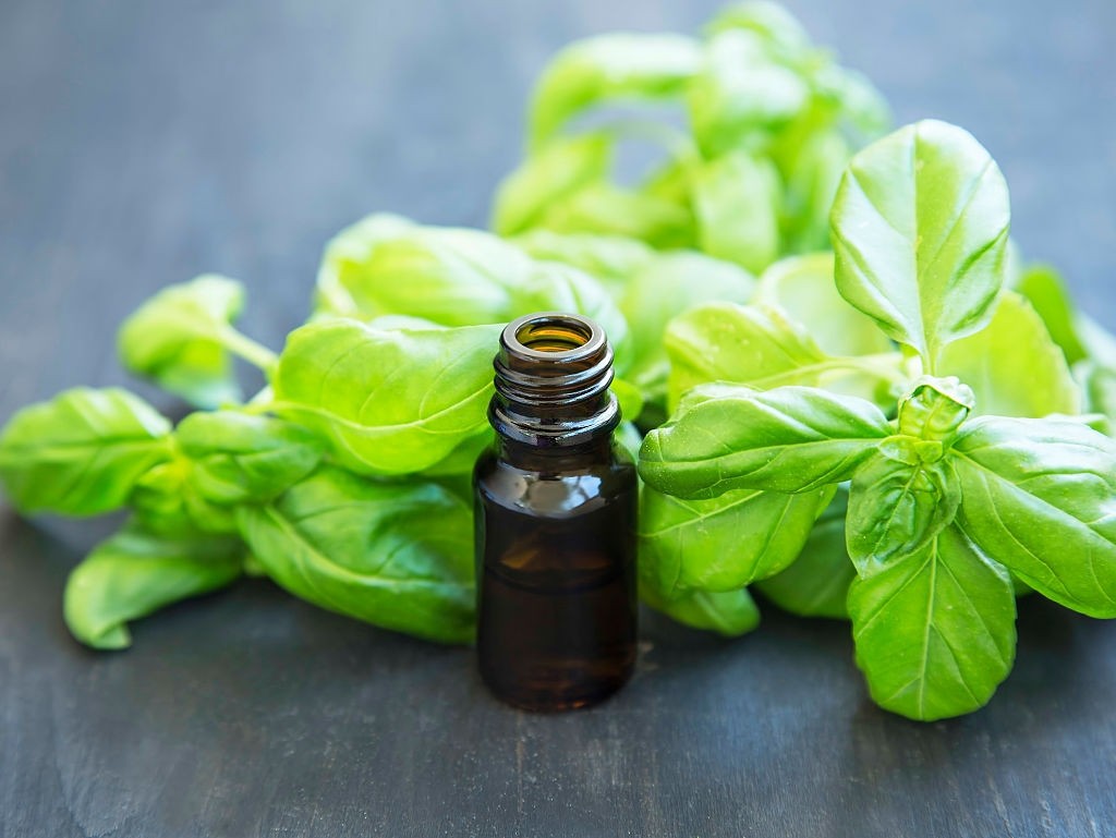 فواید روغن ریحان