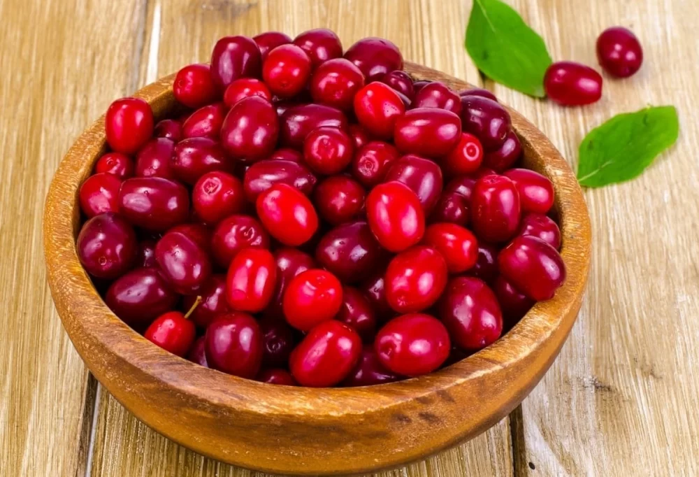 روش مصرف زغال اخته