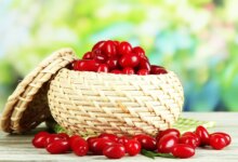 چگونه زغال اخته می‌ تواند به کاهش وزن شما کمک کند؟ (2 نکته مهم)