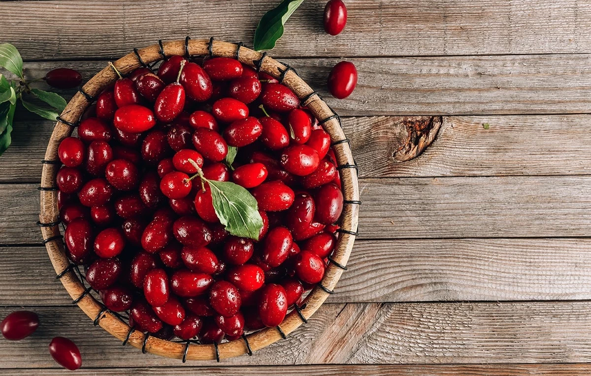 خواص اعجاب انگیز زغال اخته برای درمان کبد چرب و سنگ کلیه (2 نکته مهم)