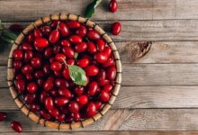 خواص اعجاب انگیز زغال اخته برای درمان کبد چرب و سنگ کلیه (2 نکته مهم)