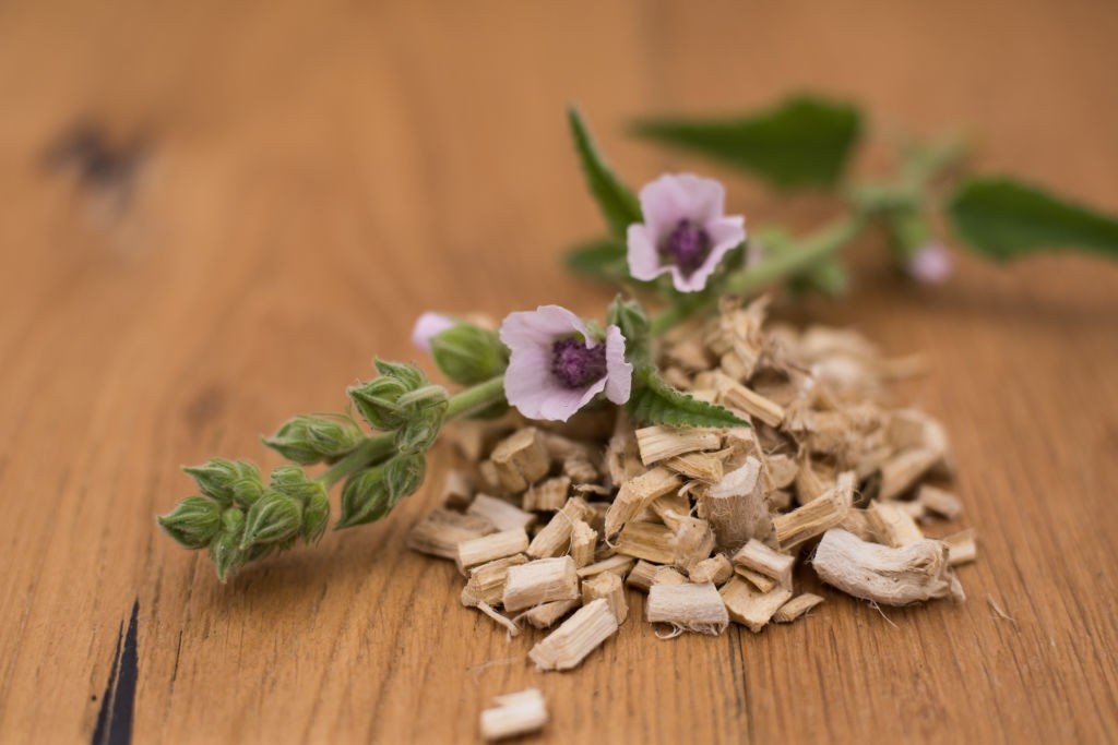 عصاره ختمی و درمان سرفه خشک
