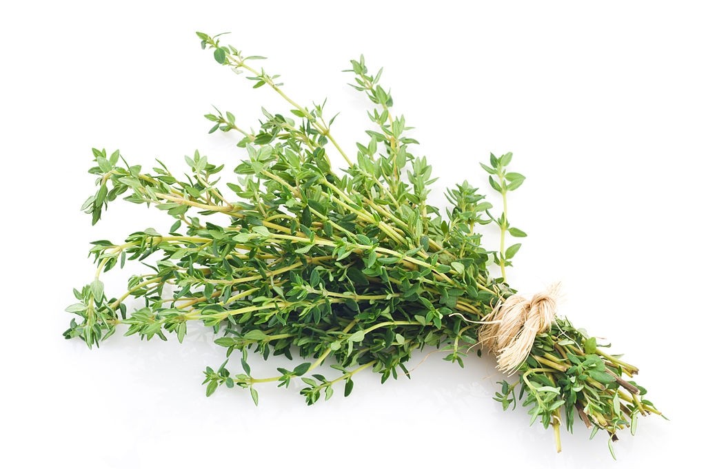 آویشن و رفع التهاب گلو و ریه