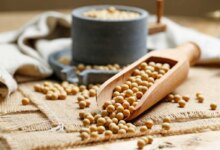 مصرف پروتئین سویا به چه کسانی توصیه می شود ؟ (2 نکته مهم)