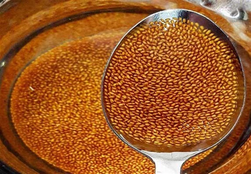 فواید، مضرات و طرز تهیه جوشانده خاکشیر (2 نکته مهم)
