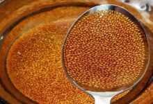 فواید، مضرات و طرز تهیه جوشانده خاکشیر (2 نکته مهم)