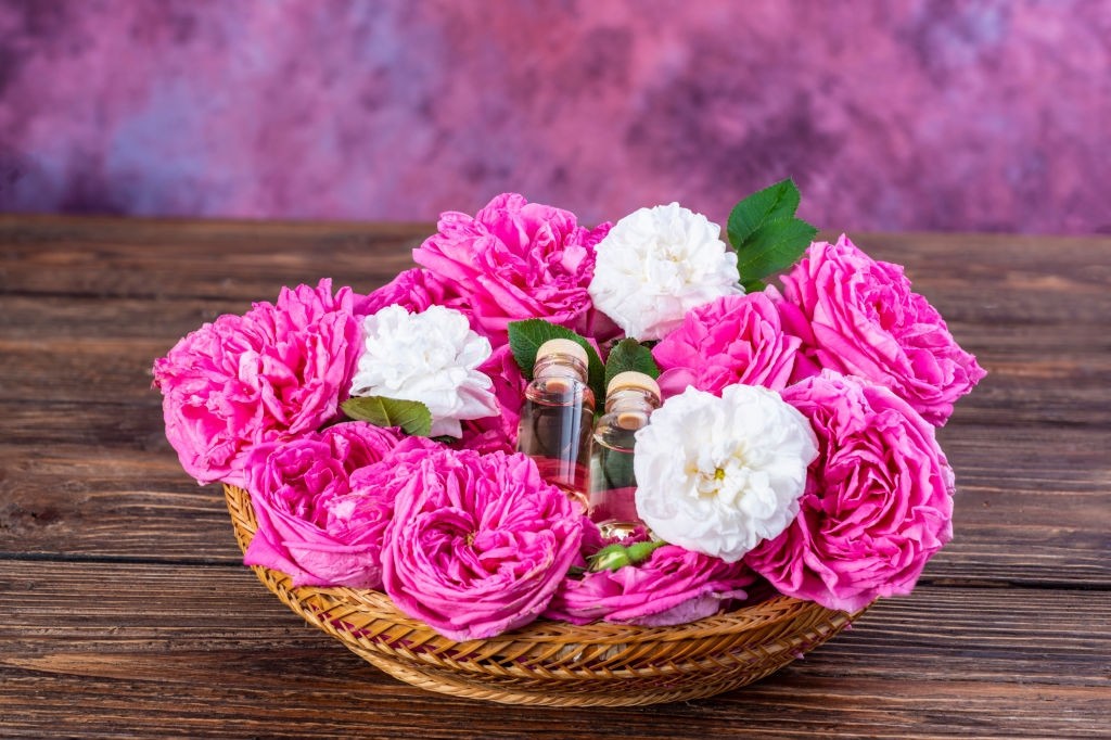 عوارض جبران ناپذیر مصرف گل محمدی برای مردان (2 نکته مهم)