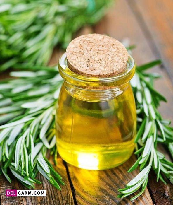 طرز تهیه روغن رزماری در منزل