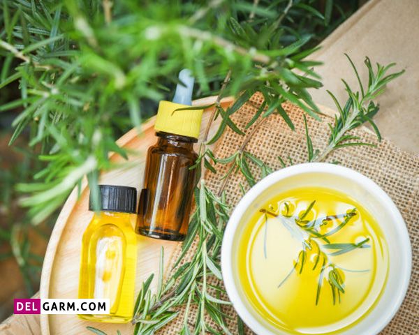 طرز تهیه روغن رزماری
