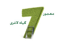 لاغری تضمینی و سریع با معجون هفت گیاه لاغری (2 نکته مهم)