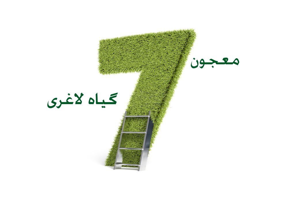لاغری تضمینی و سریع با معجون هفت گیاه لاغری (2 نکته مهم) لاغری تضمینی و سریع با معجون هفت گیاه لاغری (2 نکته مهم)