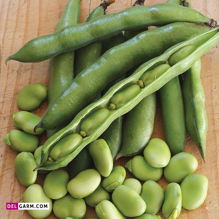 داروی گیاهی برای درمان پارکینسون