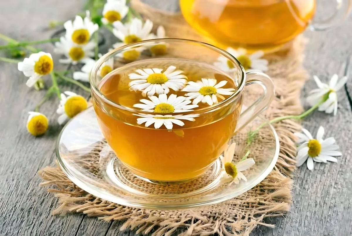 10 دمنوش گیاهی معجزه آسا برای درمان رفلاکس معده (2 نکته مهم) 10 دمنوش گیاهی معجزه آسا برای درمان رفلاکس معده (2 نکته مهم)