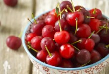 مضرات آلبالو : خوردن آلبالو برای این افراد ممنوع! (2 نکته مهم)