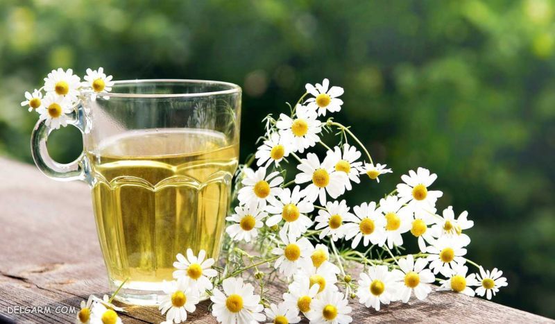 چه عرقیاتی طبع گرم دارند ؟