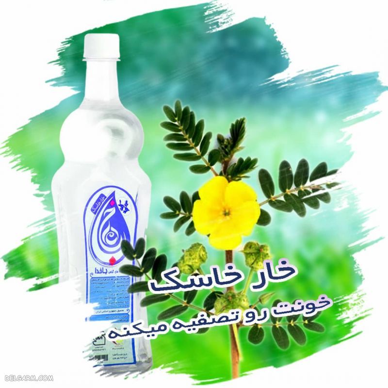 عرقیات مناسب برای طبع گرم