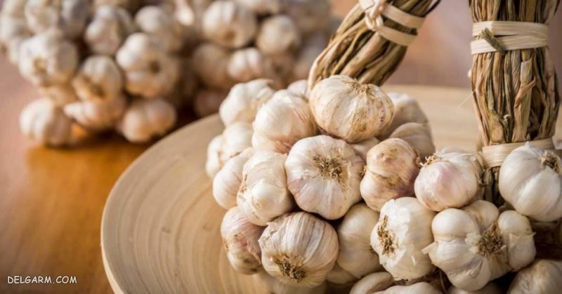 چه عرقیاتی طبع گرم دارند