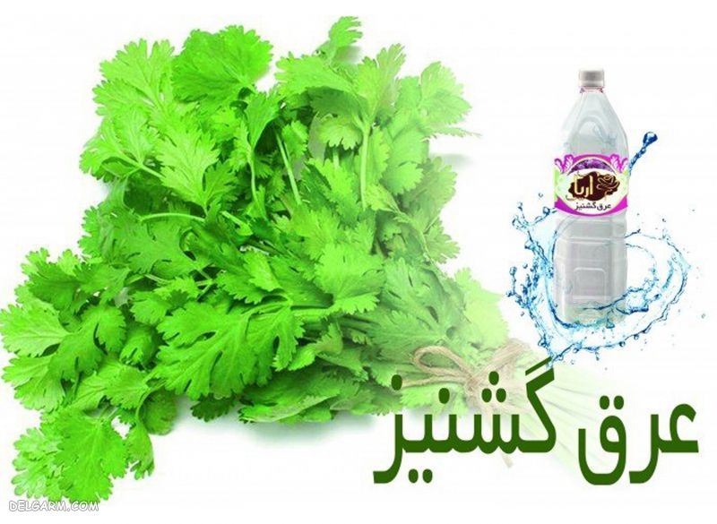 عرقیات سرد