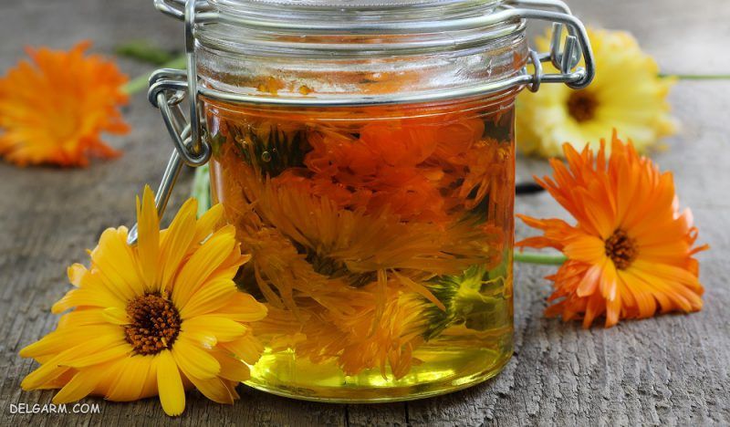 روغن گل همیشه بهار در مرهم سیاه / طرز تهیه مرهم سیاه خانگی