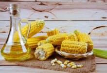 روغن مازولا چه خواصی دارد ؟ فواید بی نظیر آن کدام است ؟ (2 نکته مهم)