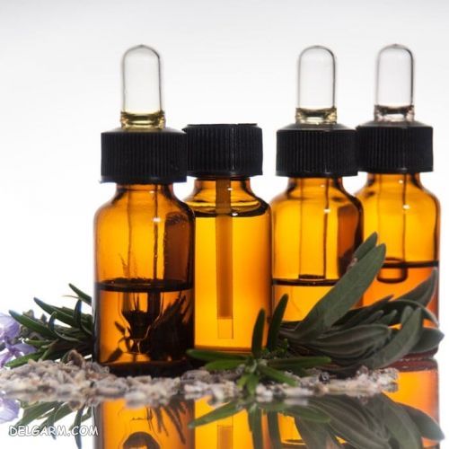روغن مورد برای سفیدی مو | خواص روغن مورد برای ابرو | روش استفاده از روغن مورد برای مو | طرز تهیه روغن مورد