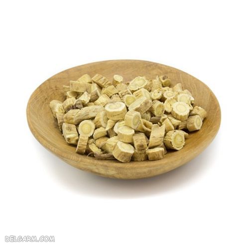 گیاهان ضد ویروسی