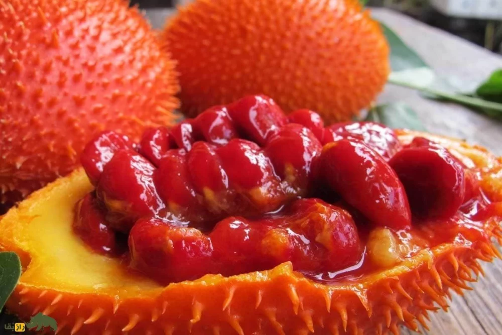 خواص گاک فروت