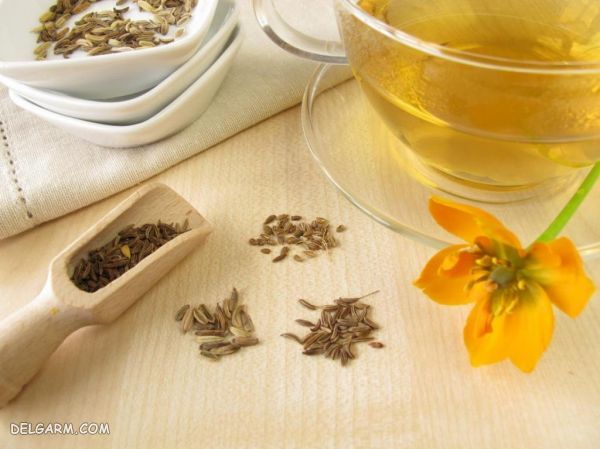معرفی ۹ نوشیدنی قدرتمند ضد تهوع (2 نکته مهم) چای رازیانه