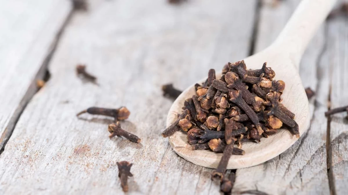 خواص بی نظیر میخک ، روغن و دمنوش آن برای آقایان (2 نکته مهم)