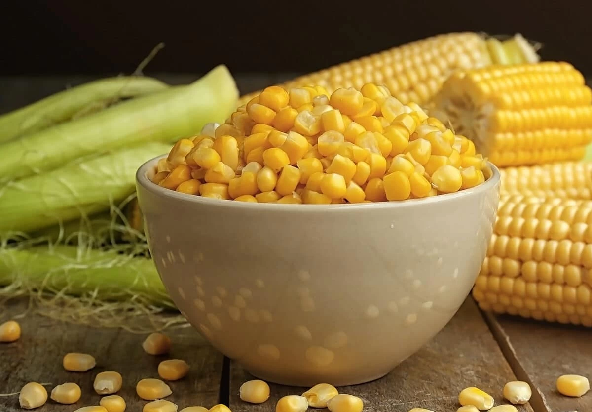 فواید بی نظیر ذرت برای لاغری با تاثیر گذاری بی نظیر (2 نکته مهم)