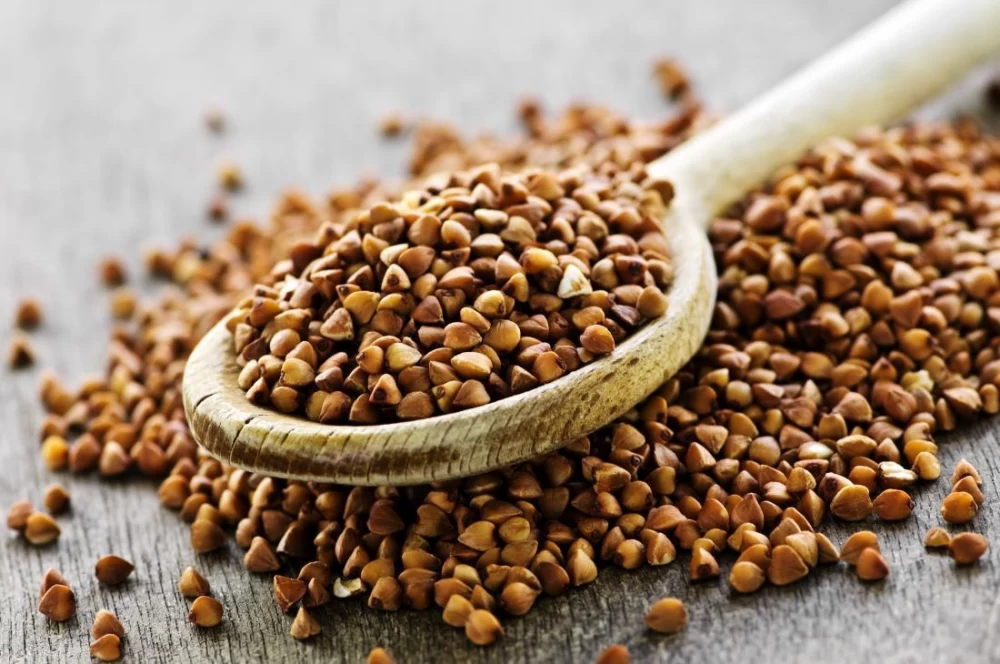کربوهیدرات گندم