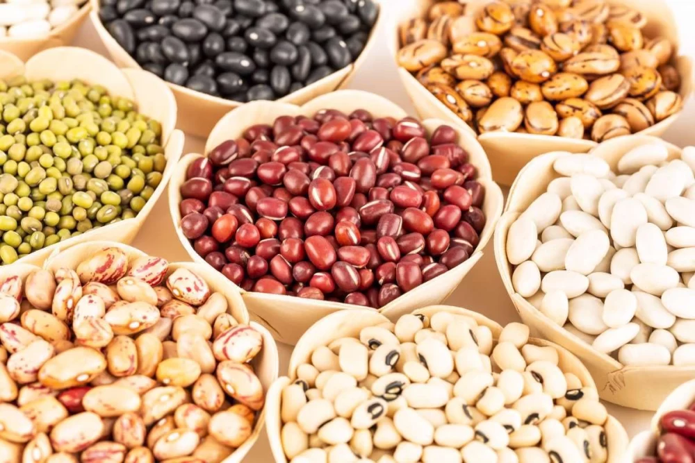 مواد غذایی دارای کربوهیدرات 