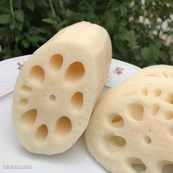 ریشه نیلوفر آبی و خواص آن