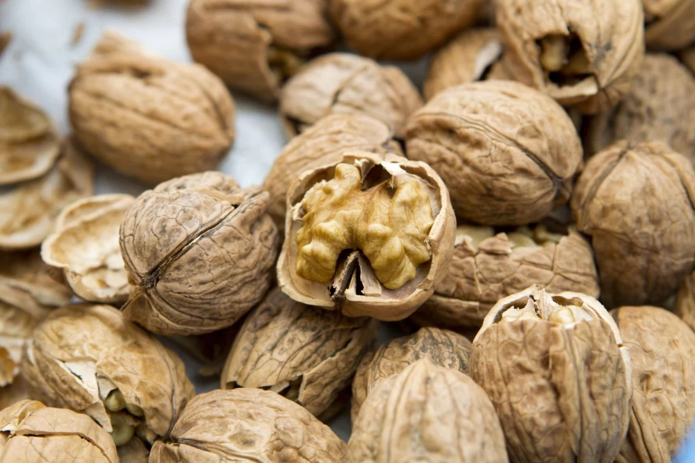 تشخیص گردو خارجی