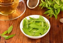 تاثیر شگفت انگیز به لیمو در کاهش فشار خون + خواص این گیاه (2 نکته مهم)