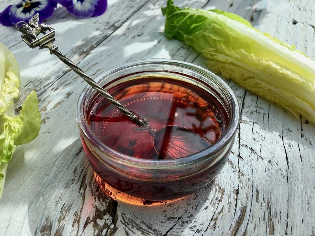 بررسی تفاوت های سکنجبین با سرکه انگبین (2 نکته مهم) بررسی تفاوت های سکنجبین با سرکه انگبین (2 نکته مهم)