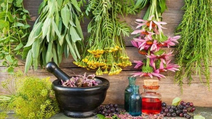 درمان افسردگی با پرمصرف ترین داروهای ضد افسردگی گیاهی (2 نکته مهم)