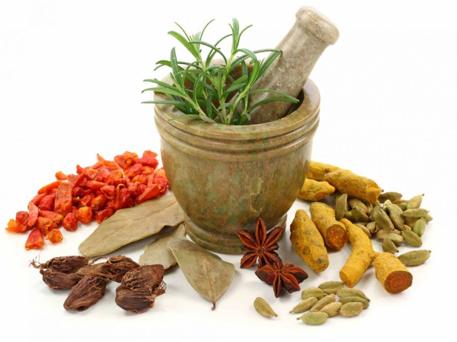 آشنایی با گیاه وشا و خواص دارویی آن (2 نکته مهم)