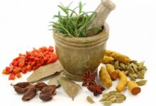 آشنایی با گیاه وشا و خواص دارویی آن (2 نکته مهم)