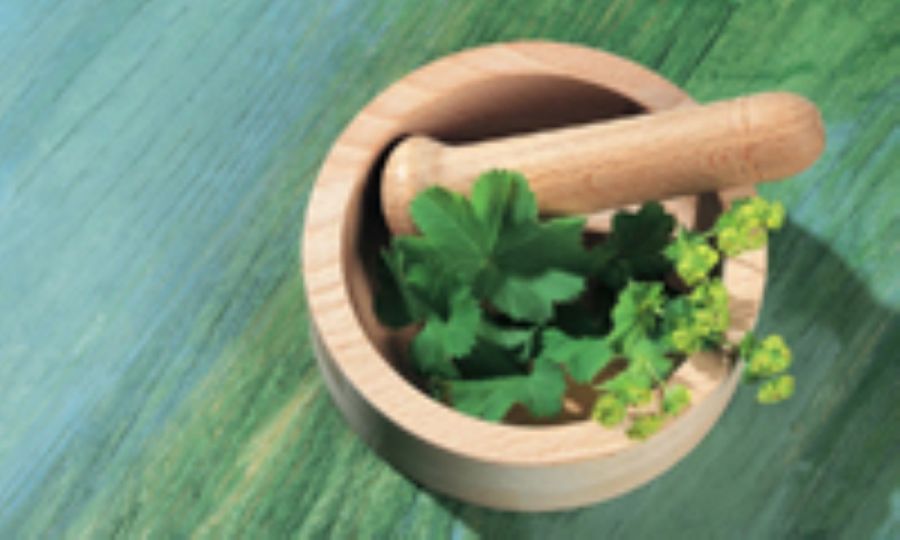 فواید مصرف گیاه دارویی هواچوبه (2 نکته مهم)
