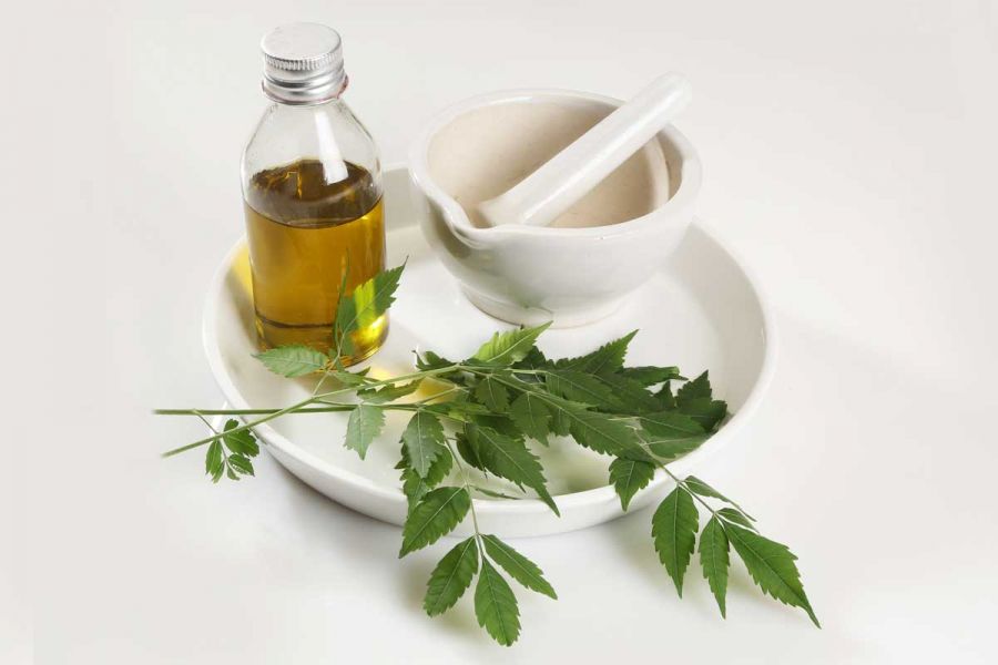آشنایی با روغن چریش و ۱۲ خاصیت قدرتمند این روغن گیاهی (2 نکته مهم) آشنایی با روغن چریش و ۱۲ خاصیت قدرتمند این روغن گیاهی (2 نکته مهم)