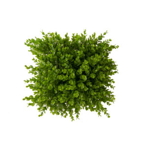 چمن مصنوعی مدل دیوار سبز نقش برجسته شمشادی 25×25 سانتی متر