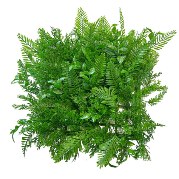 چمن مصنوعی مدل دکور سبز آکواریومی طرح سیکات سرو سایز 25×25 سانتی متر