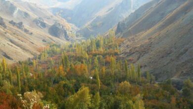 آشنایی با شهرستانک و جاذبه های گردشگی این روستای زیبا (+ تصاویر)