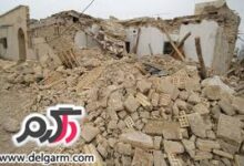 آیا میدانید برخی حیوانات توانایی پیش بینی وقوع پدیده های طبیعی را دارند؟