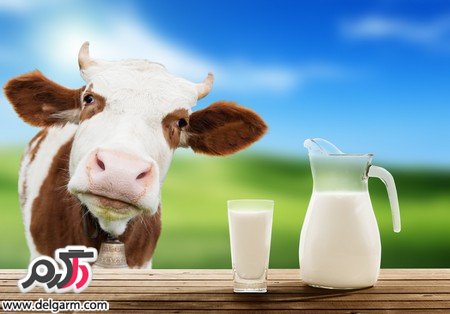 از بیماری تب مالت چه می دانید؟ (2 نکته مهم) از بیماری تب مالت چه می دانید؟ (2 نکته مهم)